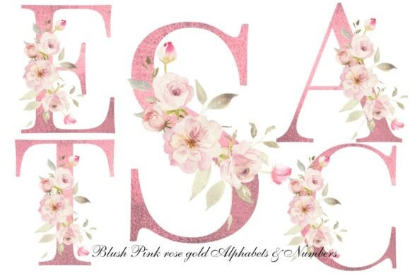 Download Blush Pink Rose Floral Alphabet Clipart - Alphabet Collection