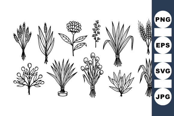 Download Hand Drawn Botanical Set - Botanical Collection