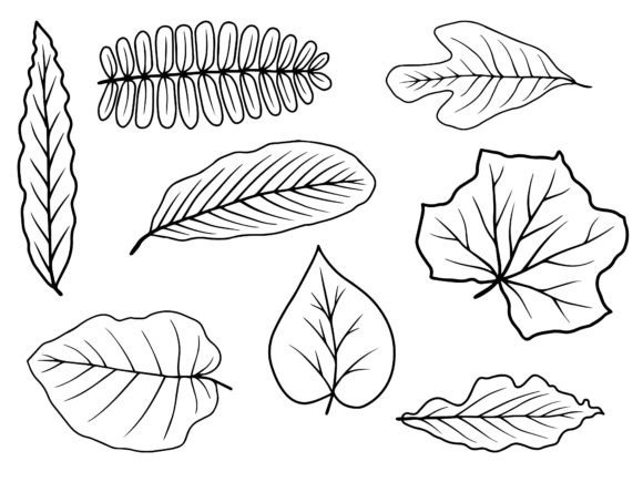 Download Leaf Line Art Illustration - Leaf line art Collection