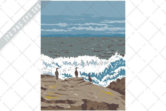Download Cormorant at Pebble Beach WPA Ukiyo-e - Pebble Collection