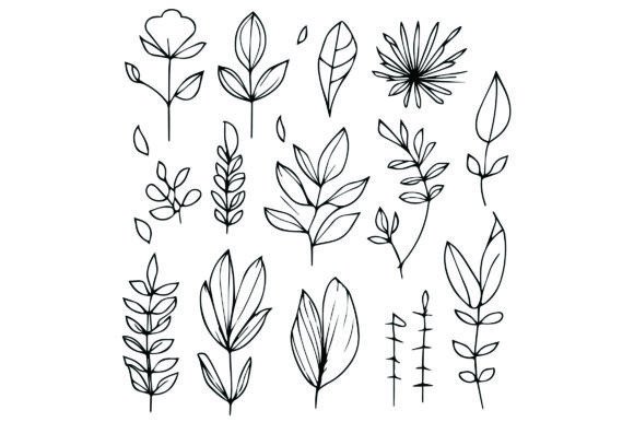 Download Botanical Leaf Line Drawings, Botanical - Botanical Collection